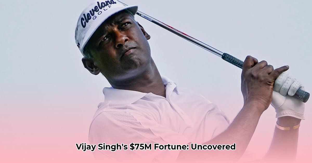 vijay-singh-net-worth